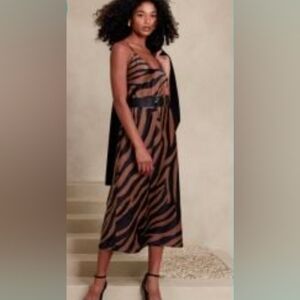 Banana Republic Animal Print V-Neck Dress